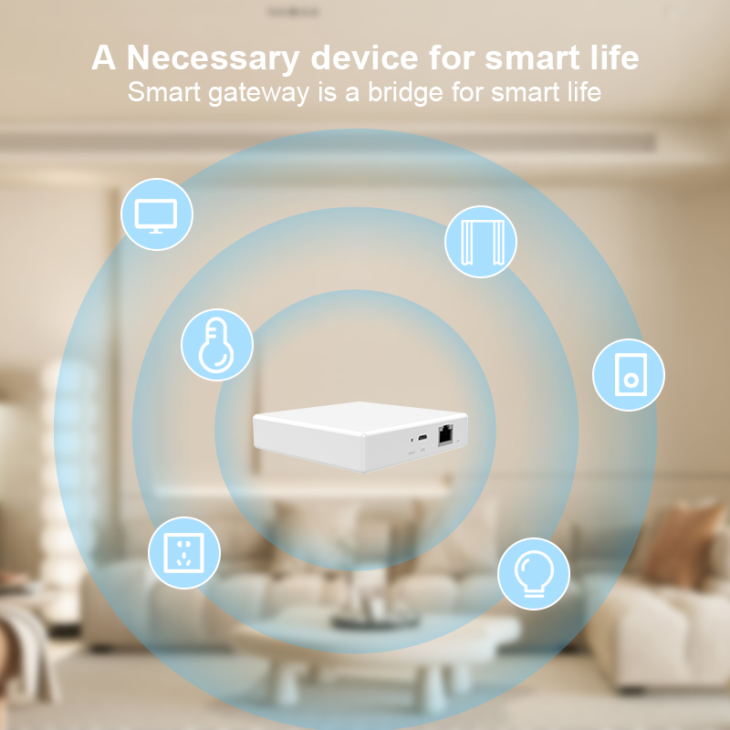 เกตเวย์ Matter Hub Homekit Tuy - Smart Home Bridge บทวิจารณ์และราคา