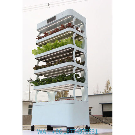 ระบบปลูกพืชไฮโดรโปนิกส์ในบ้านแ - Smart Home Ac บทวิจารณ์และราคา