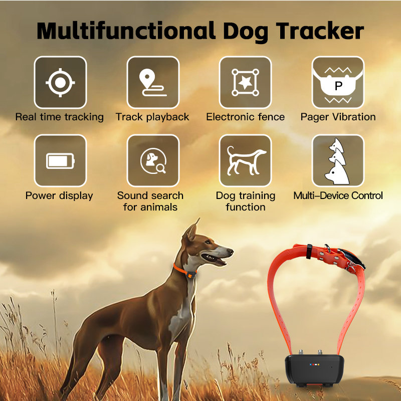 พิเศษ WiFi กันน้ํา GPS ปลอกคอส - Smart Home For Pc บทวิจารณ์และราคา