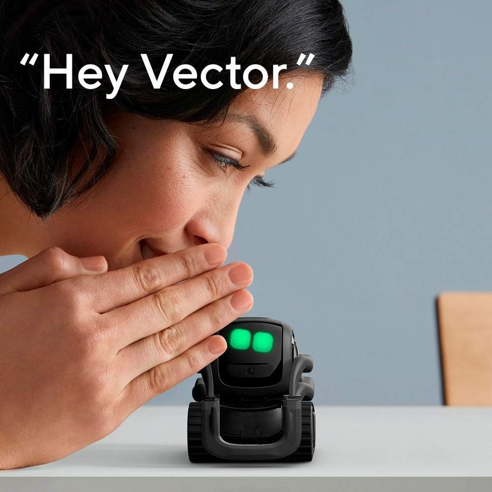 หุ่นยนต์เพื่อนคู่ใจ AI ChatGPT - Smart Home Ai บทวิจารณ์และราคา